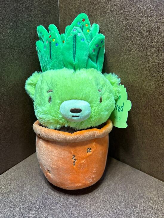 Moriah Elizabeth Other - Moriah Elizabeth Fred Plush Plant Bear in Pot Green Succulent Character Toy NWT